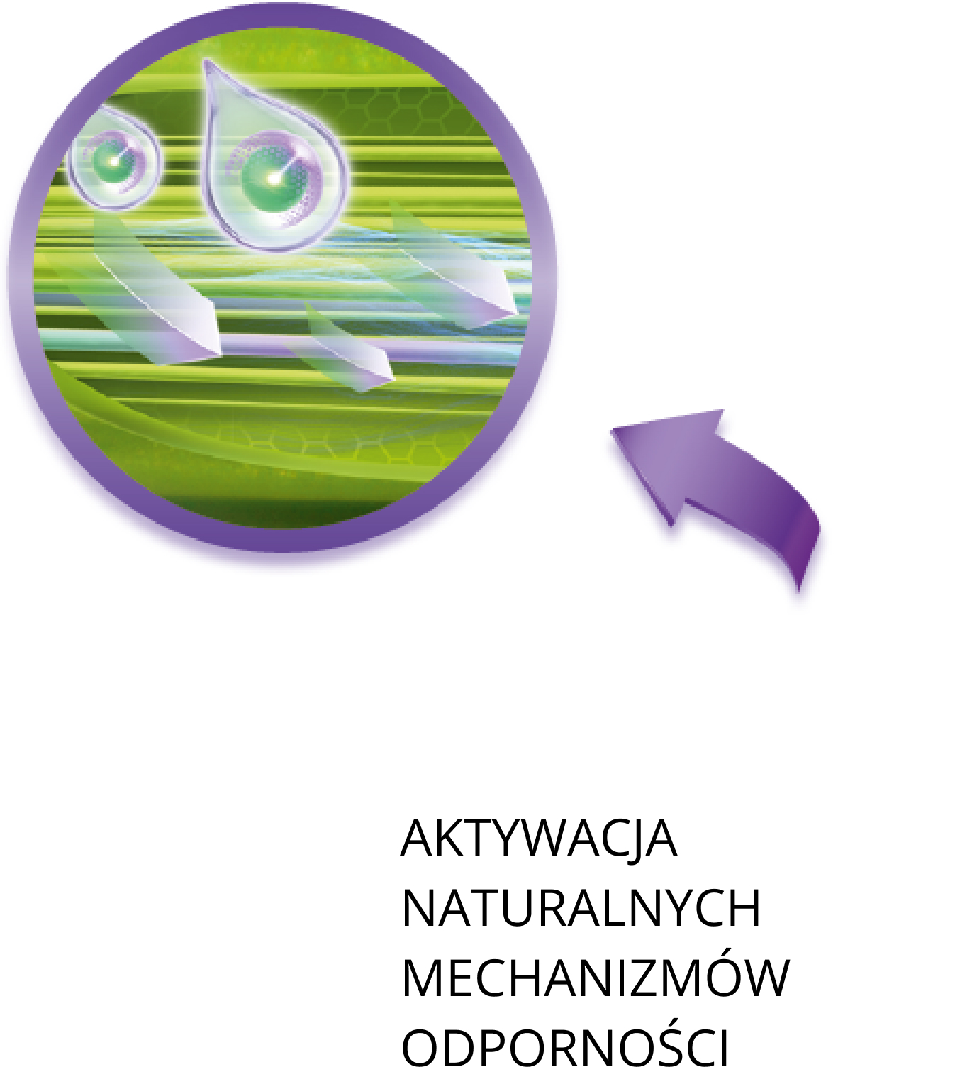 aktywacja naturalnych mechanizmów odporności