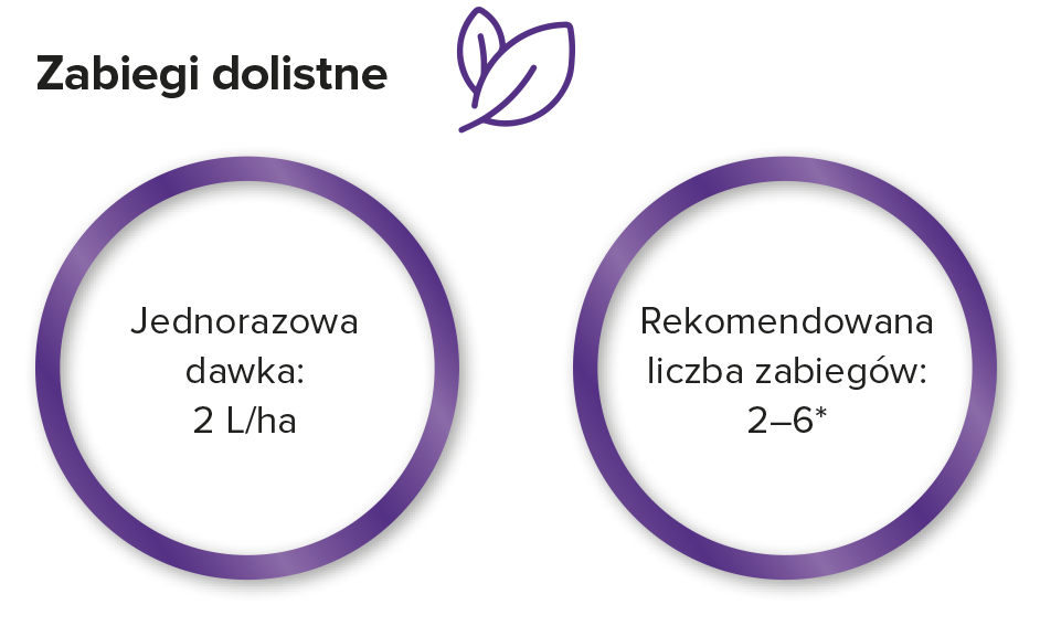 planticine uprawy