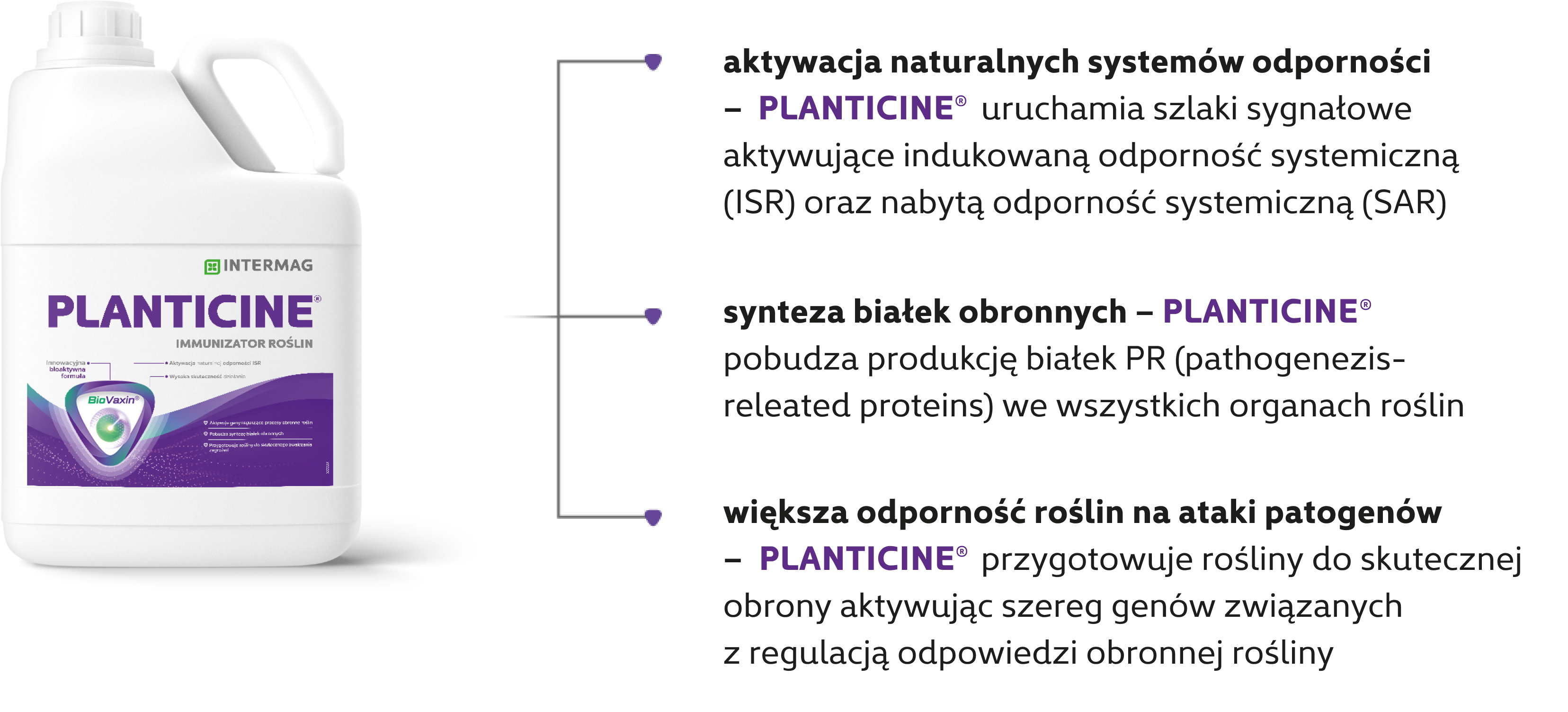 intermag planticine